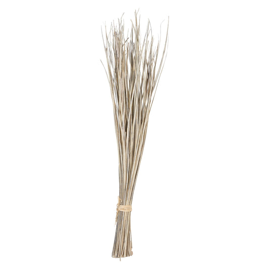 36" H Dried Natural Date Palm Leaf Bunch