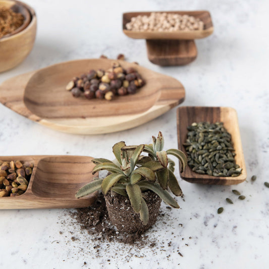 Set of 4 Acacia Wood Trays with Seagrass Tie